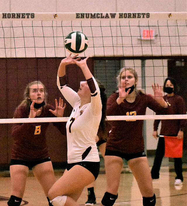 White River senior setter Marissa Dahl begins one of the 54 assists she registered during a Thursday night match against Plateau rival Enumclaw High. Guarding the net for host EHS are Rosie Penke (8) and Macy Furtwangler. Photo by Kevin Hanson