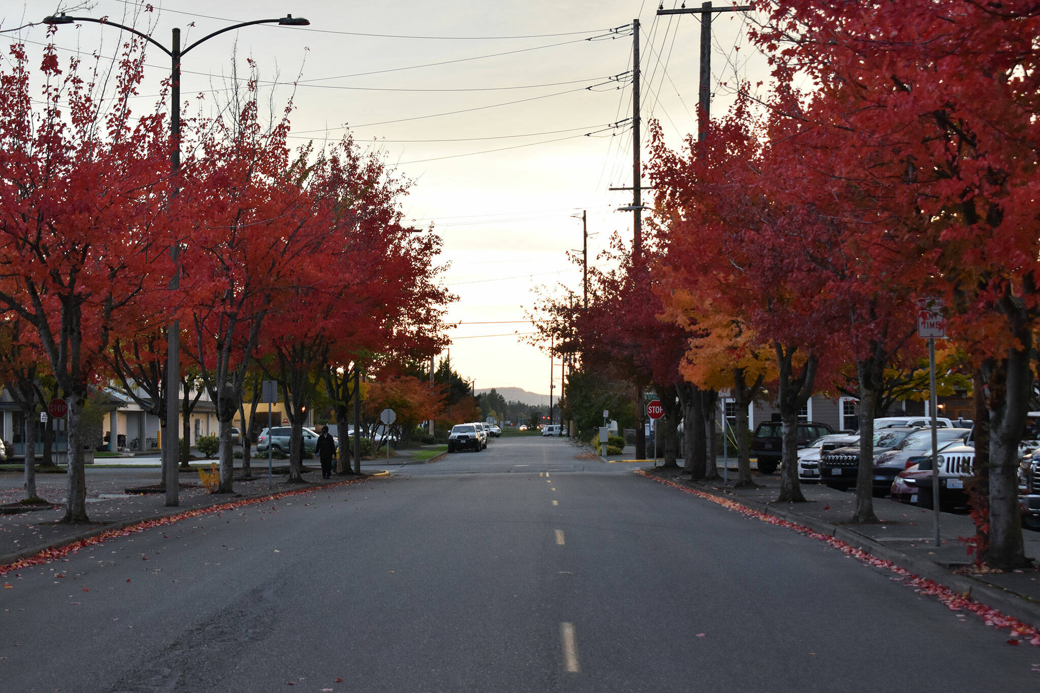 The colors are changing, and that means fall weather is here too. Photo taken looking south down Railroad Street in Enumclaw by Alex Bruell.