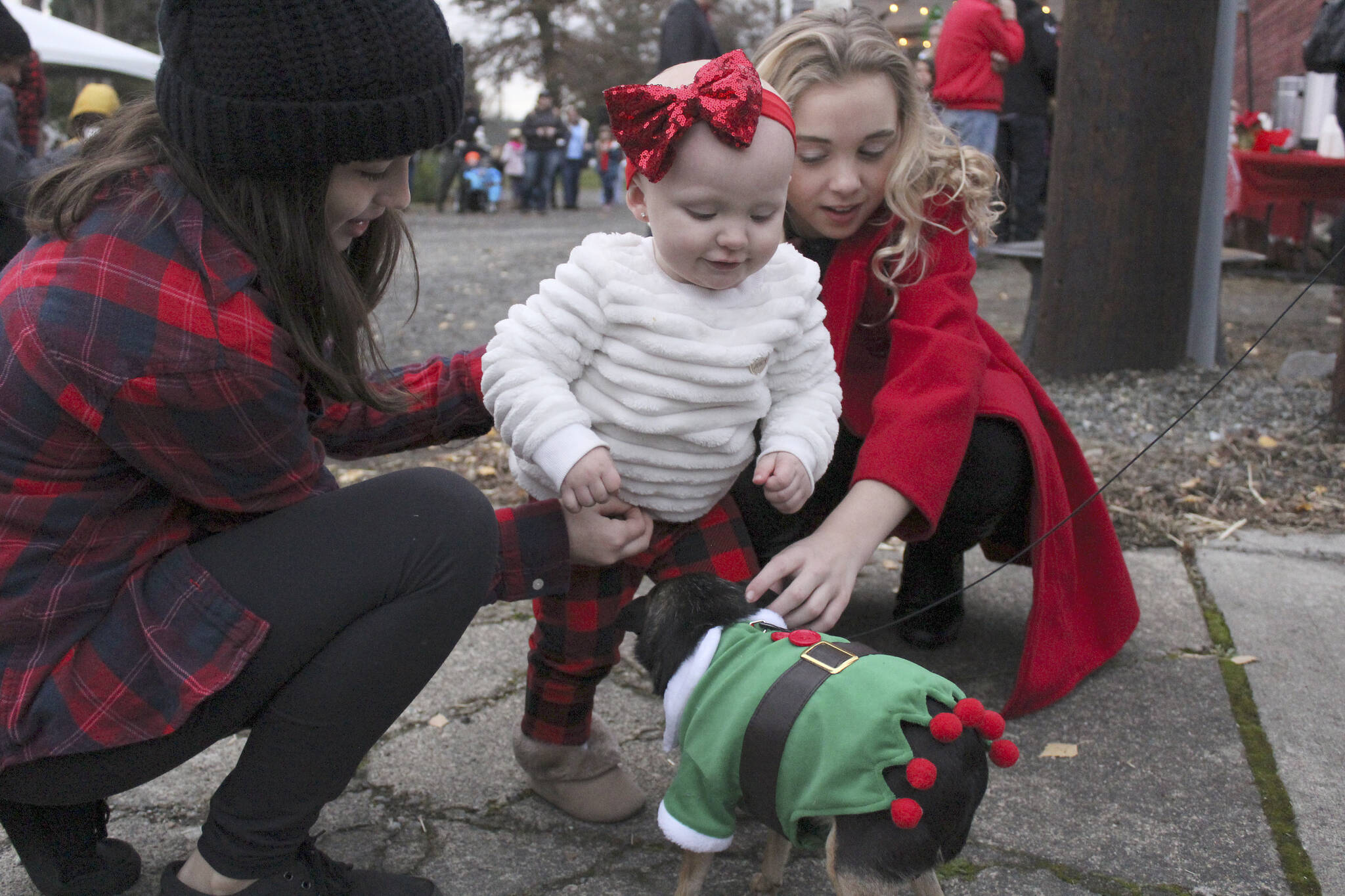 Marley Brown, 1, meets with Lulu in this file photo from Buckley’s 2018 tree lighting.