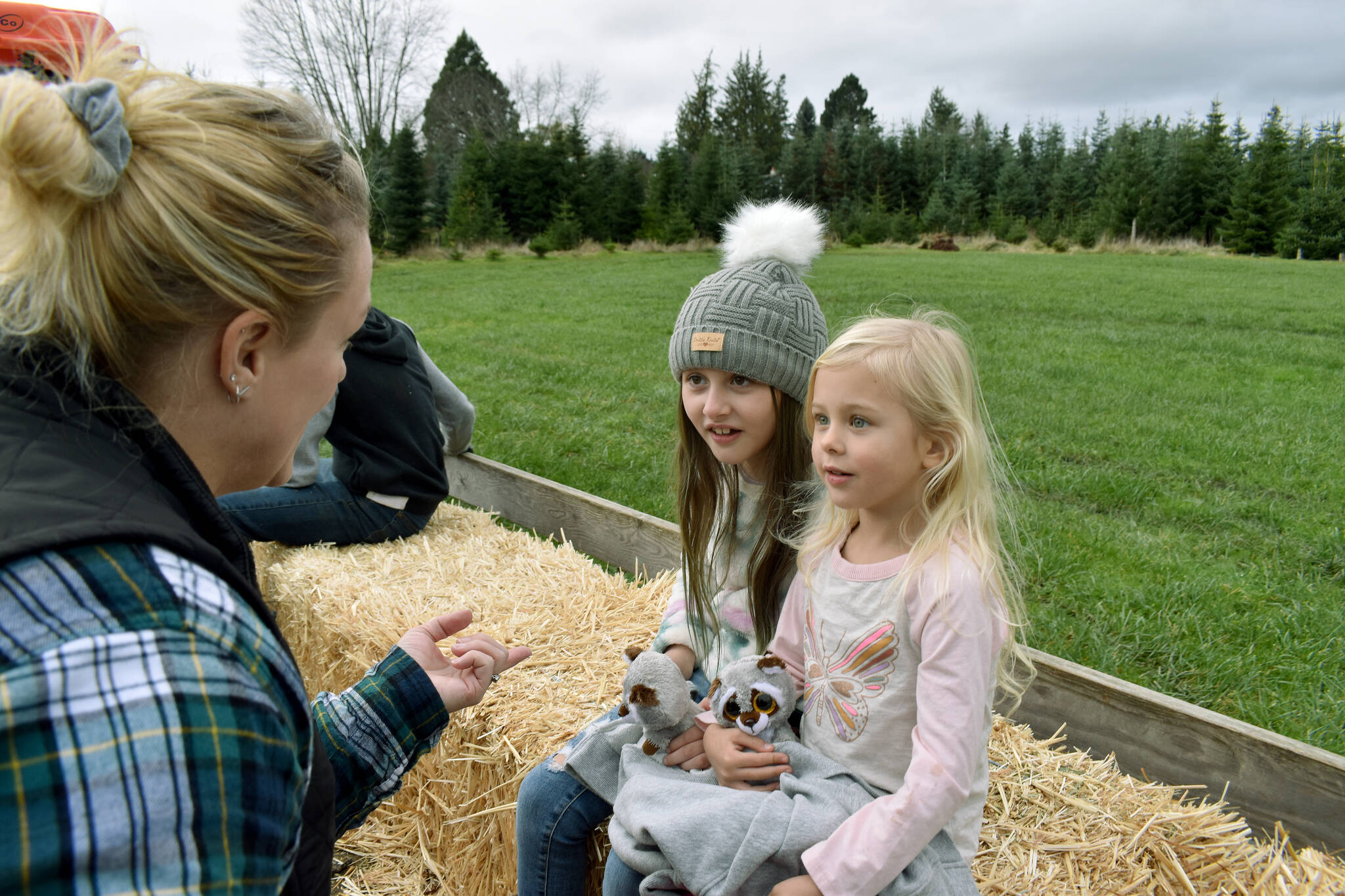 Lynn Pratt talks to her grandkids Charlie (middle) and Kacey (right) on a hay ride around the tree farm.