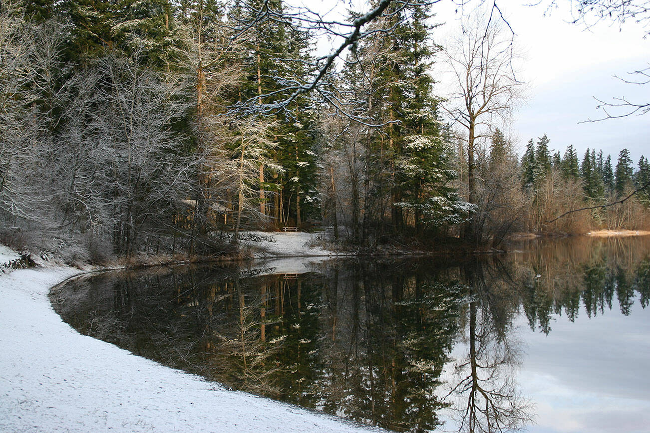 Nolte State Park in the winter. The park is one of more than 40 participating in this years First Day Hikes event. Photo by Mary Janosik / Visit Rainier.