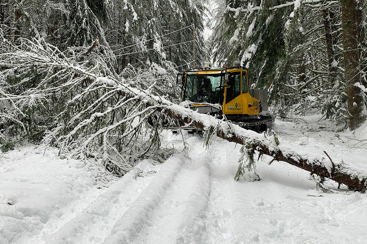 This image of a snowcat working near a downed tree in the Greenwater / Crystal Mountain area was shared by Puget Sound Energy spokesperson Melanie Coon.