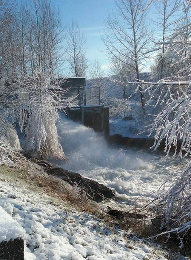 The Printz Basin in Buckley opening to allow water to flow into Lake Tapps. 2018 photo courtesy Cascade Water Alliance