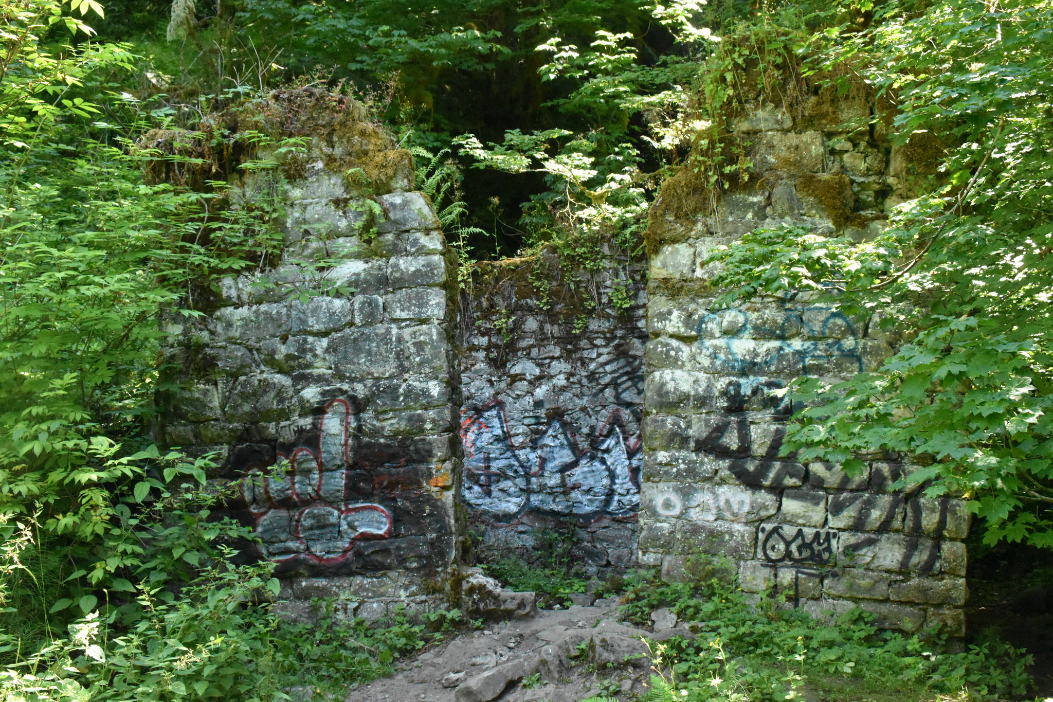 PHOTOS BY KEVIN HANSON
Most visitors to the Melmont Ghost Town trail park at a Pierce County entrance. Along the way, hikers discover a former dynamite shed and the standing remains of the Melmont school. The trail leads guests under the towering Fairfax Bridge.