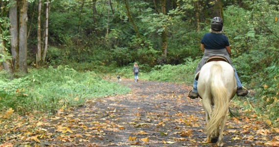 The access road to the Green River Natural Area is sometimes used by equestrians. Photo by Kevin Hanson