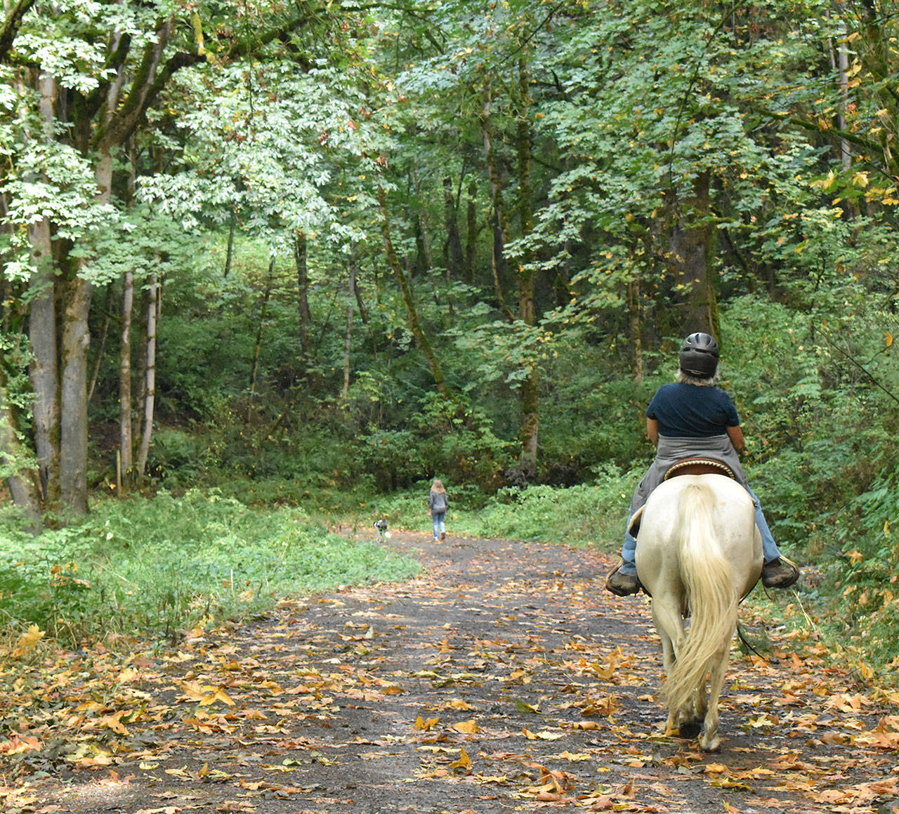 The access road to the Green River Natural Area is sometimes used by equestrians. Photo by Kevin Hanson