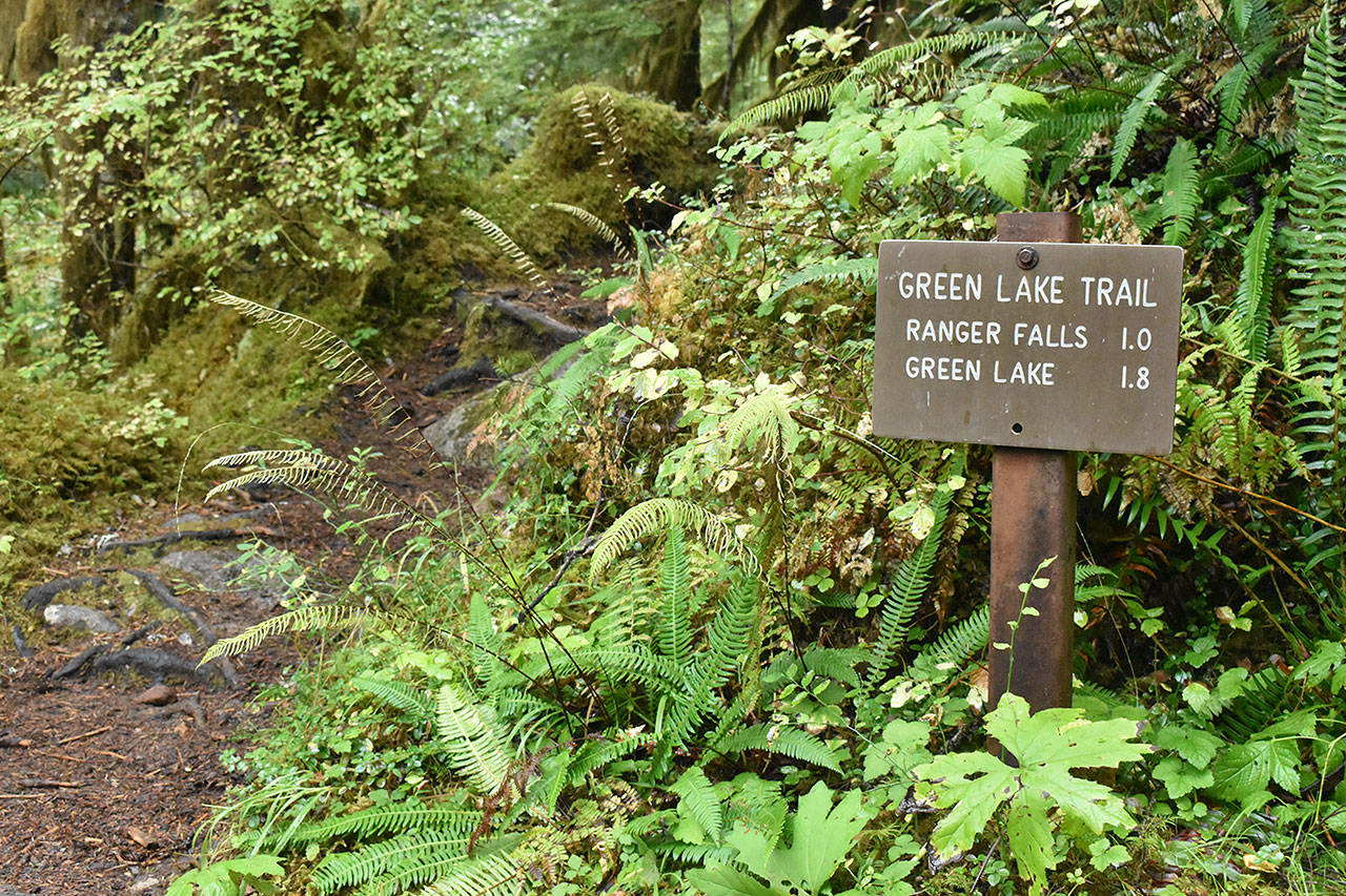 The trailhead for Ranger Falls/Green Lake is clearly marked, three miles from the end of Carbon River Road; the trail to the falls is mostly uphill but provides great natural scenery; and, finally, the roaring falls is the ultimate payoff. Photos by Kevin Hanson