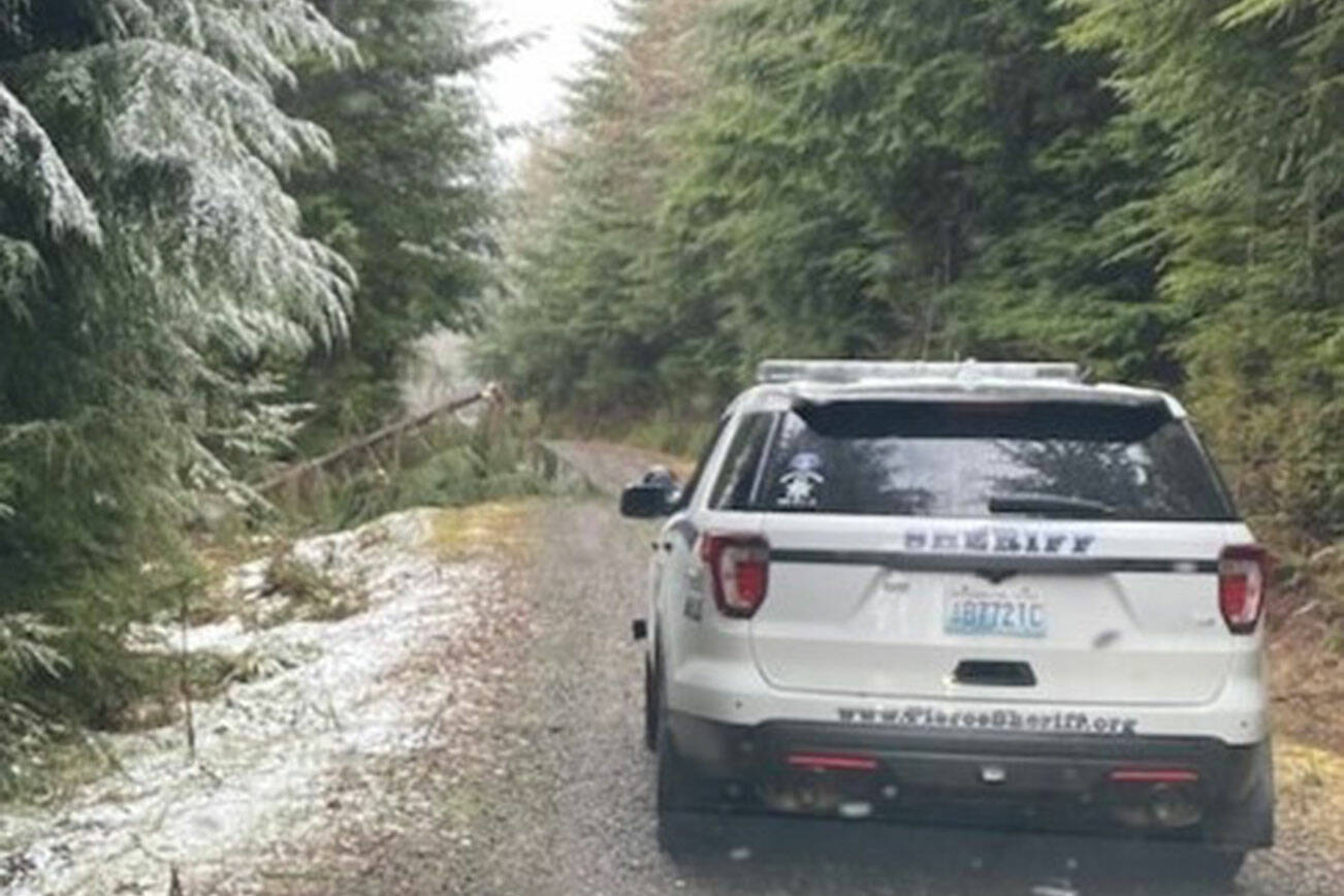 The Pierce County Sheriff’s Department included this image in a news alert April 5 about the discovery of human remains near Carbonado the weekend prior.