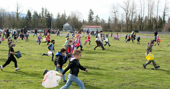 Enumclaw's 2021 egg hunt was a huge success, as hundreds of kids swarmed the Boise Creek 6 Plex to gather as many eggs as possible. Photo by Ray Miller-Still