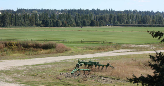 The Sammamish Valley is home to a collection of farms, wineries and tasting rooms. File photo
The Sammamish Valley is home to a collection of farms, wineries and tasting rooms. File photo