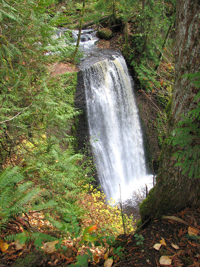 Victor Falls is a popular destination for Plateau hikers. Image courtesy of the city of Bonney Lake.