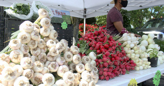 The Enumclaw Farmer's Market returns June 2, and will run through September every Thursday from 3 to 7 p.m. New this year is the ability to use SNAP benefits to buy fresh produce — head to enumclawplateaufarmersmarket.org/programs/snap-and-snap-market-match/ to learn more. Pictured is a photo from the 2021 season. Photos by Ray Miller-Still