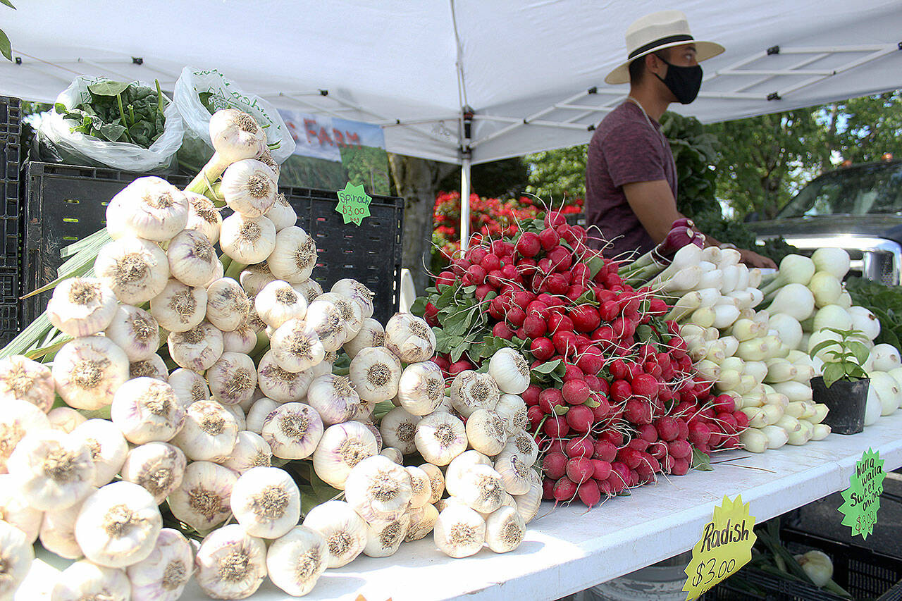 The Enumclaw Farmer’s Market returns June 2, and will run through September every Thursday from 3 to 7 p.m. New this year is the ability to use SNAP benefits to buy fresh produce — head to <a href="http://www.enumclawplateaufarmersmarket.org/programs/snap-and-snap-market-match/" target="_blank">enumclawplateaufarmersmarket.org/programs/snap-and-snap-market-match/</a> to learn more. Pictured is a photo from the 2021 season. Photos by Ray Miller-Still