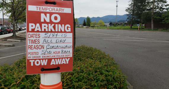 Trees separating the Enumclaw library parking lot from the nearby field have already been cut down, and grinding will soon begin in preparation of that field turning into a parking lot. Photo by Ray Miller-Still