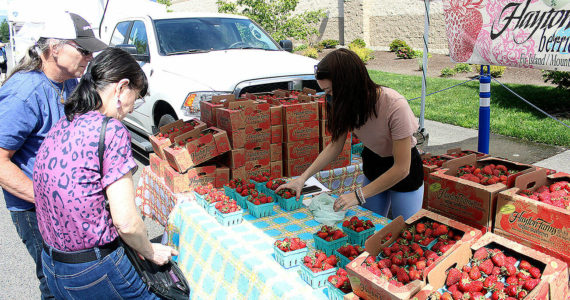 Hayton Farms Berries was one of the many vendors that attended last year's Enumclaw Farmers Market. Photo by Ray Miller-Still