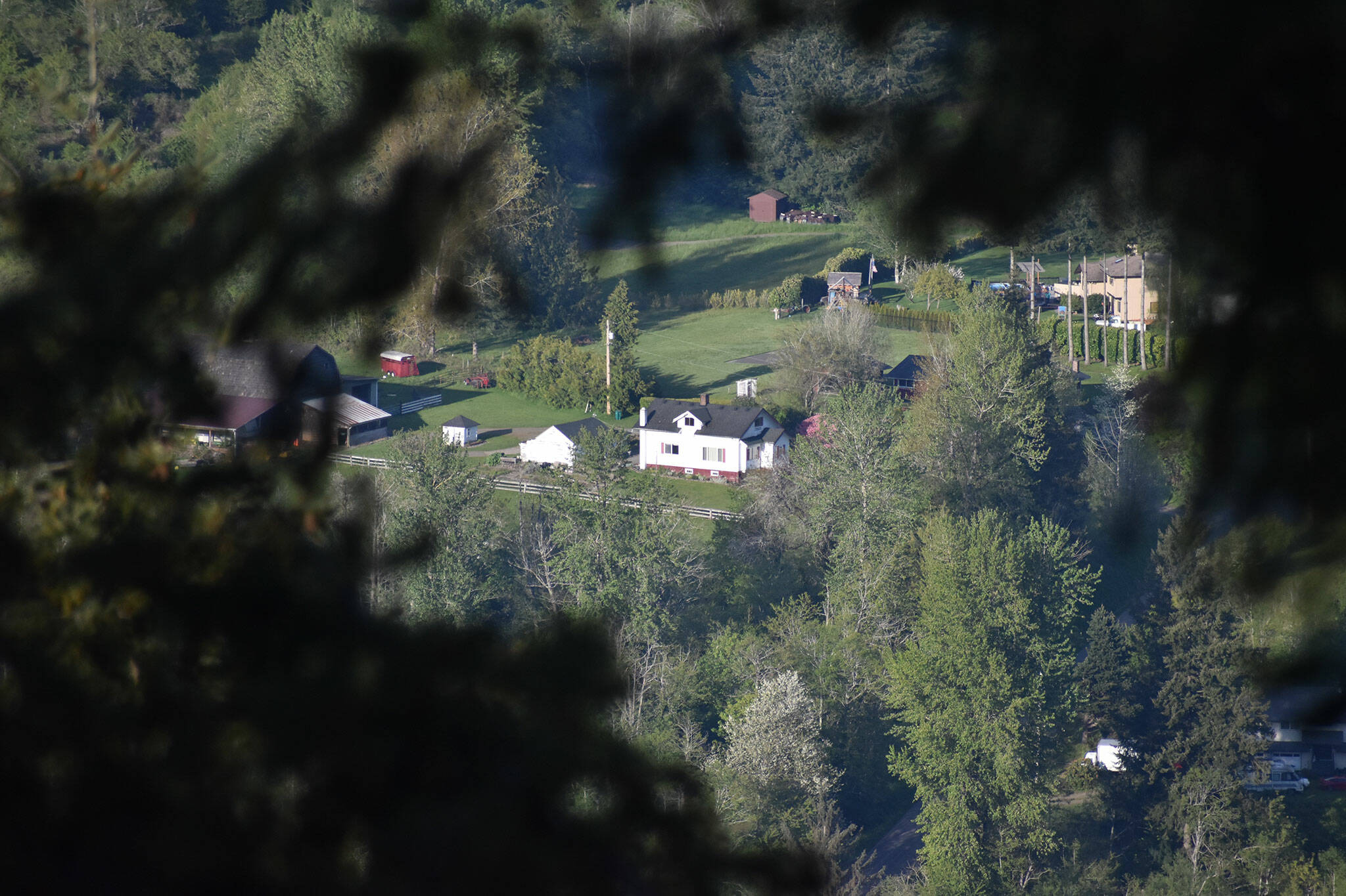 From the top of the Mt. Peak fire tower, this farmhouse peaks out through the foliage. Photo by Alex Bruell.
