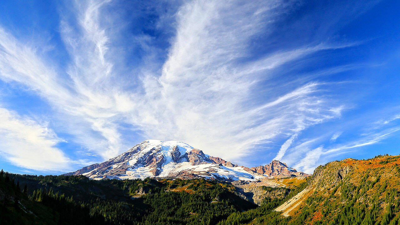 A view of Mt. Rainier from Stevens Canyon Road. Photo by Lou Elke - on and off / <a href="https://www.flickr.com/photos/lou-elke/" target="_blank">flickr.com/photos/lou-elke </a>