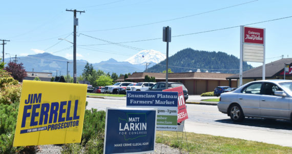 Political campaign signs, as well as a sign for the Enumclaw Plateau Farmer's Market, are posted along Highway 410 in Enumclaw on a hot July afternoon. Mount Rainier appears in the background. Photo by Alex Bruell.
