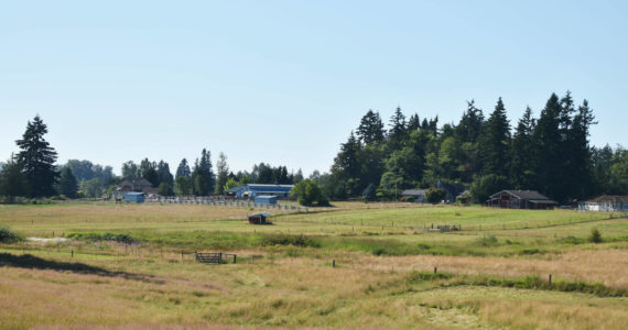 Photo by Alex Bruell 
Can you imagine airplanes flying over these plains? This farmland on the Enumclaw Plateau near the intersection of 196th Ave SE and SE 400th St is near the area that an aviation study dubbed as a potential “King County Southeast” airport in a report considering locations for the state’s next airport. No location has yet been selected.