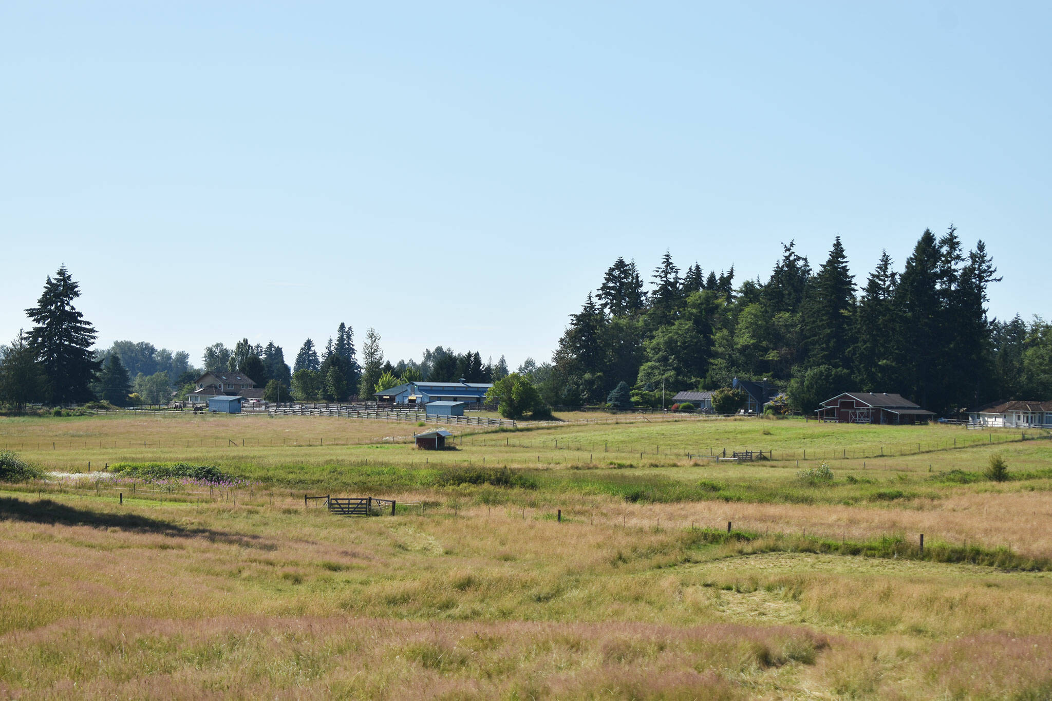 Can you imagine airplanes flying over these plains? This farmland on the Enumclaw Plateau near the intersection of 196th Ave SE and SE 400th St is near the area that an aviation study dubbed as a potential “King County Southeast” airport in a report considering locations for the state’s next airport. No location has yet been selected. Photo by Alex Bruell.