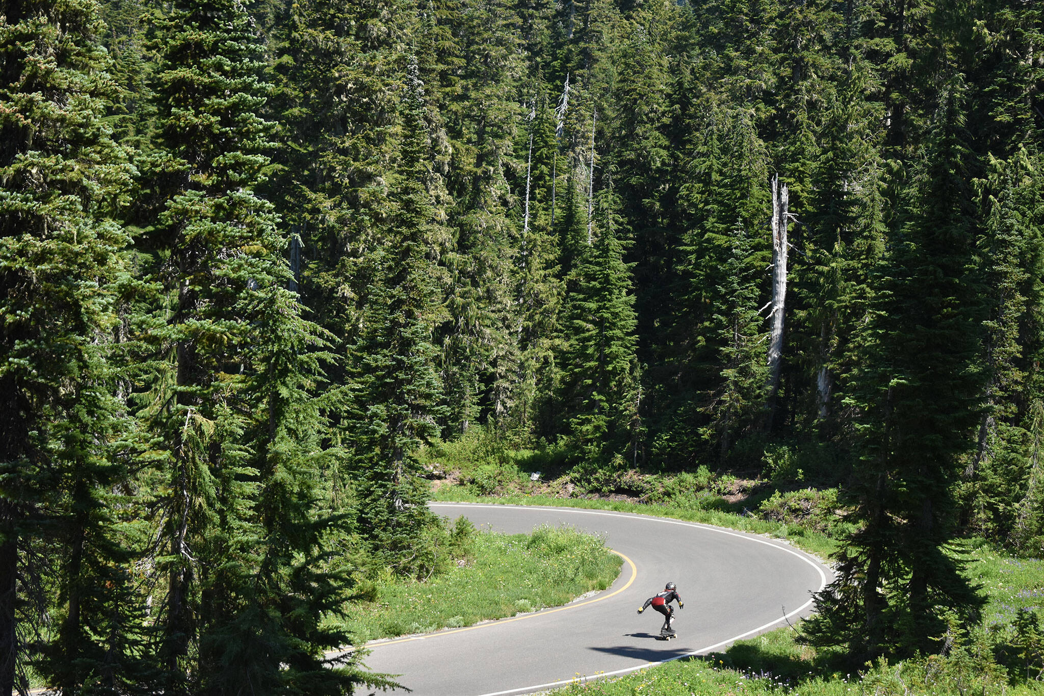 Marcie Morgan rushes through a road in the Mount Rainier National Park area. “You’re completely exposed, a little human being amongst the giant trees,” she said of the racing experience. “You have to push past the fear, watching the concrete fly by you.” Photo by Alex Bruell.