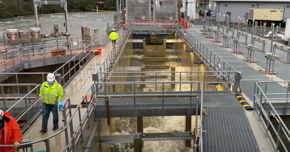 The Mud Mountain Dam Fish Passage facility can handle hundreds of thousands of fish during peak run years. It was updated in 2021, but might get $10.6 million next year for repairs and upgrades. Image courtesy Army Corps of Engineers