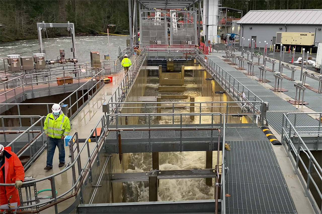 The Mud Mountain Dam Fish Passage facility can handle hundreds of thousands of fish during peak run years. It was updated in 2021, but might get $10.6 million next year for repairs and upgrades. Image courtesy Army Corps of Engineers