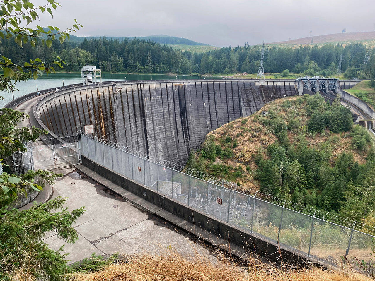 Pictured here is the 300-foot tall Alder Dam that creates the reservoir. Photo by Kevin Hanson