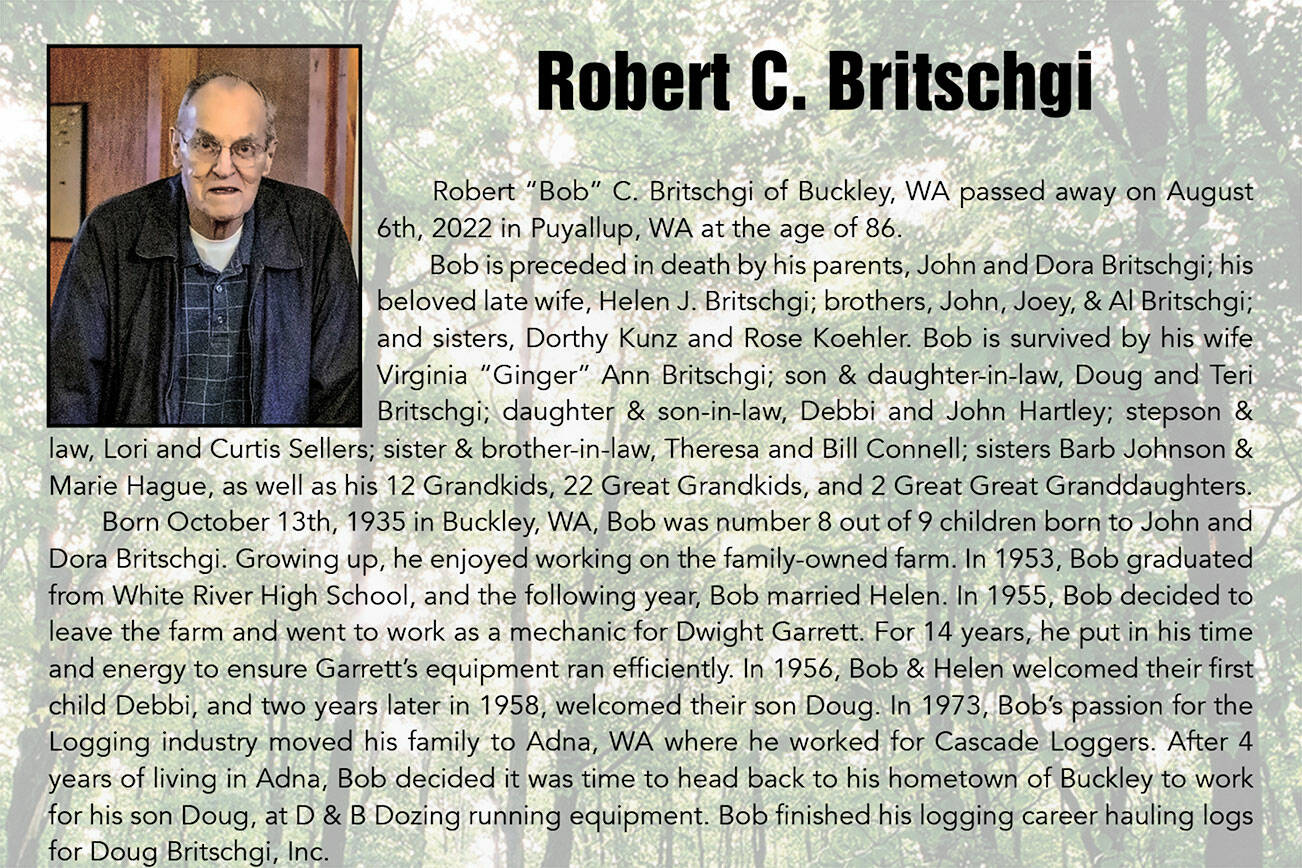 Robert Britschgi