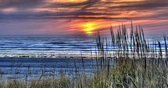 Sunset at Grayland Beach State Park. Photo by Michael & Sherry Martin