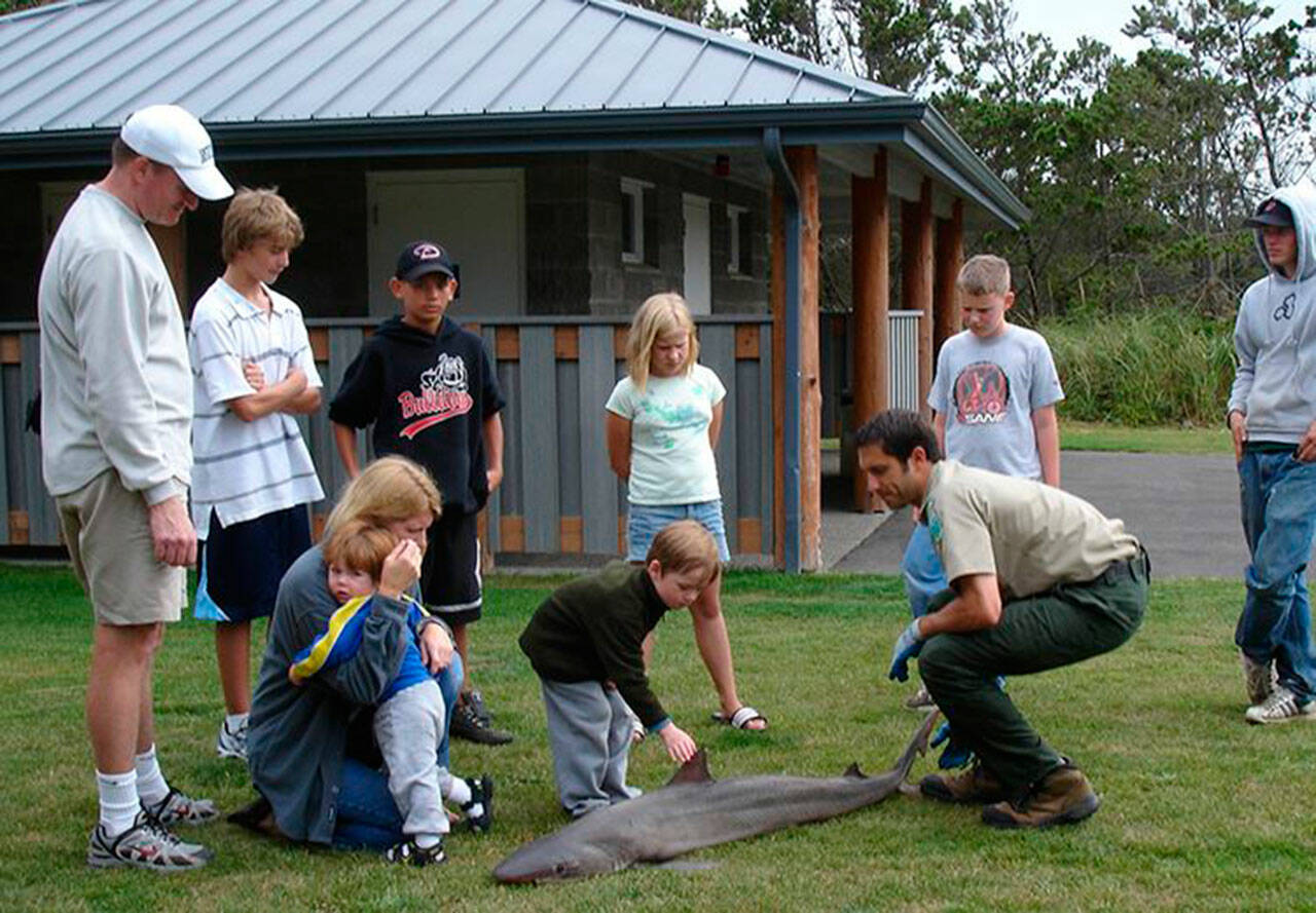Fishing is popular at Grayland Beach State Park — you may even catch a shark. Image courtesy Washington State Parks