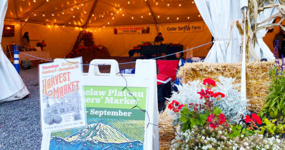 Photo courtesy EPFM 
The Enumclaw Plateau Farmers’ Market Harvest Market last year was every Thursday in the afternoons. This year, it’s slated to have only two events — one in late October, and another in mid-November.