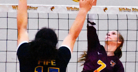 The White River High girls' volleyball team remained perfect the evening of Sept. 28, defeating the visiting Fife Trojans. With the win, the Hornets improved to 7-0 in SPSL 2A play and 8-0 overall. In these photos, Paige Bentler (7) goes high for a kill. Photo by Kevin Hanson