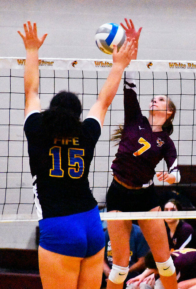 The White River High girls’ volleyball team remained perfect the evening of Sept. 28, defeating the visiting Fife Trojans. With the win, the Hornets improved to 7-0 in SPSL 2A play and 8-0 overall. In these photos, Paige Bentler (7) goes high for a kill. Photo by Kevin Hanson