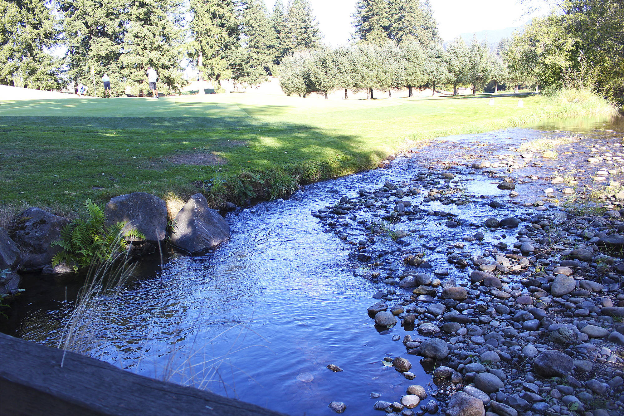 When waters are high, Boise Creek floods the 18th hole at the Enumclaw Golf Course; rerouting it will solve that issue. Photo by Ray Miller-Still