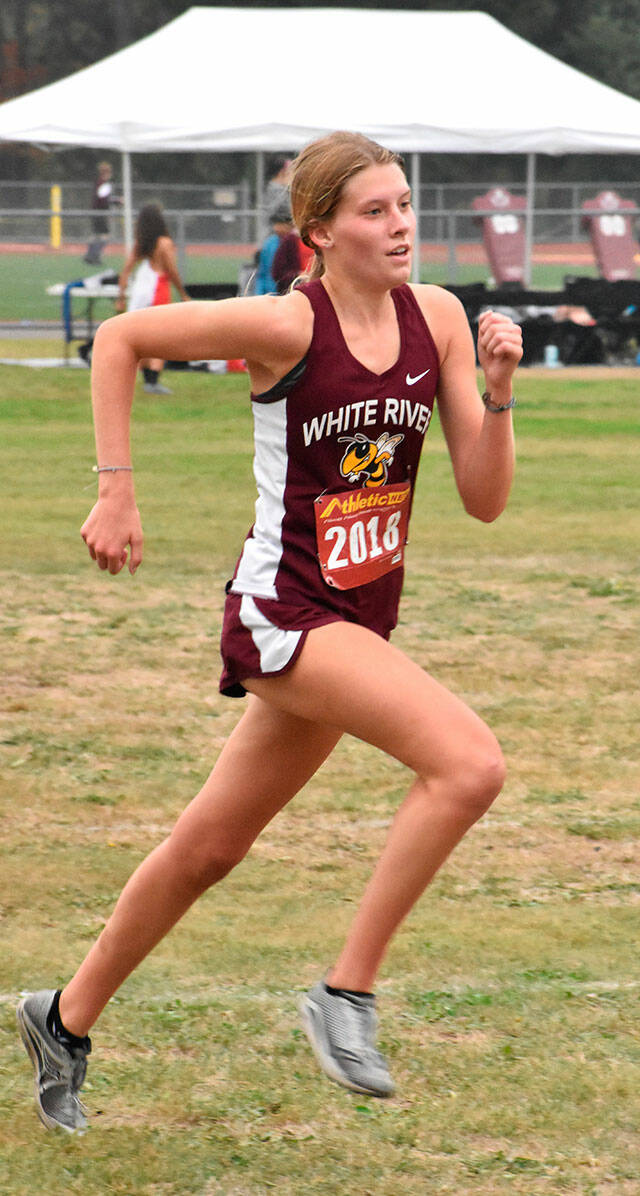 Emma Tomlinson has been leading the way for the White River High cross country program. She placed second overall during a multi-team meet in Tacoma last week; these photos were taken during an Oct. 5 meet on the White River High campus, where Tomlinson took first-place honors. Photo by Kevin Hanson