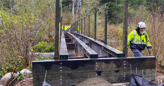 King Çounty recently built a bridge crossing the Ravensdale Creek in the Black Diamond Open Space, replacing an illegal bridge. Photo courtesy King County