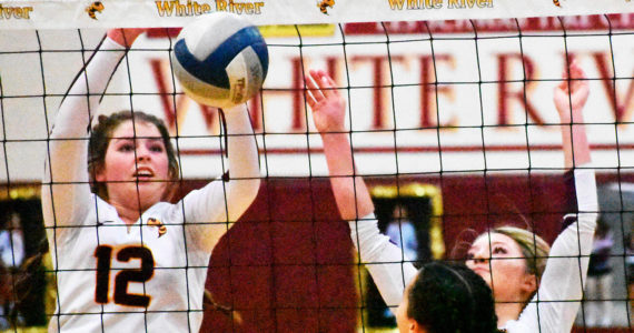 The battle for second place in the South Puget Sound League 2A volleyball standings took place Thursday evening when Enumclaw traveled to White River for the regular-season finale. Both squads entered the contest with 13-2 records, trailing the league champion Washington Patriots.  Both teams will take part in the District 2/3 tournament that runs Friday and Saturday and will send six teams to the Class 2A state tournament in Yakima. In this photo, White River's Kianna Rohner (#12) and Audrey Berg deny EHS a scoring opportunity. Photo by Kevin Hanson