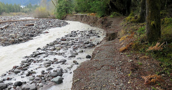 A washout of the Carbon River Trail (former road) within Mount Rainier National Park. National Park Service via Enumclaw Courier-Herald