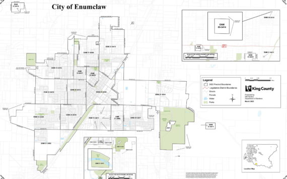 Precinct map of Enumclaw.