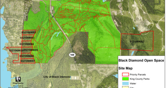 A map of the trails in the Black Diamond Open Space, and what parcels a nearly $3 million grant could purchase, further protecting unincorporated King County from urban sprawl. Image courtesy King County