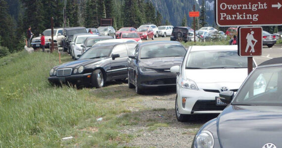 Parking at Paradise inside Mount Rainier National Park is becoming a nightmare, with many cars parking alongside the road when the official lot is full. Draft plans to limit the number of cars and people that can access popular parts of the park are being evaluated. Photo courtesy National Park Service