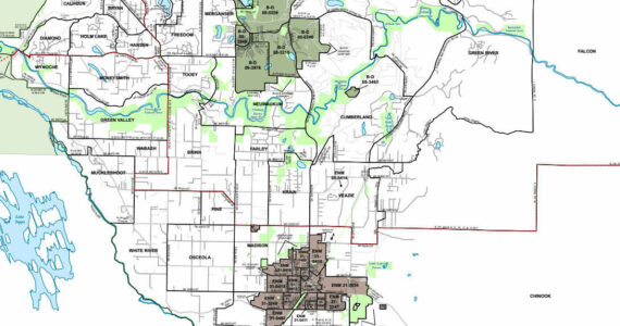 Plateau voting precincts in King County. Image courtesy King County