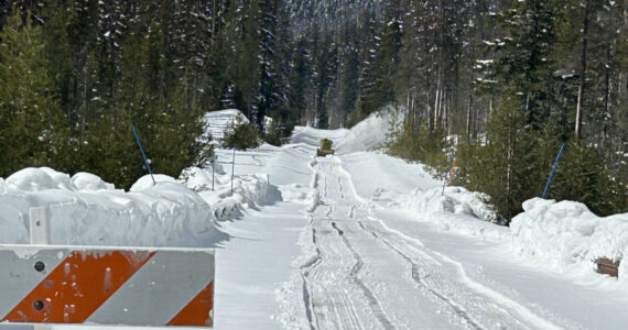 Crews are finishing up clearing the Chinook and Cayuse passes this week. Here’s what Chinook Pass looked like last April. Photo courtesy Washington State Department of Transportation