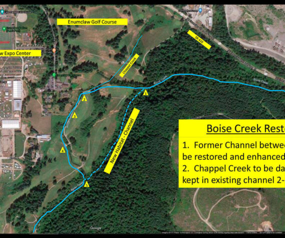 Image courtesy the city of Enumclaw
Boise Creek will be re-channeled and restored along the edge of the Enumclaw Golf Course in order to prevent flood damage to the grounds and improve the habitat for salmon.