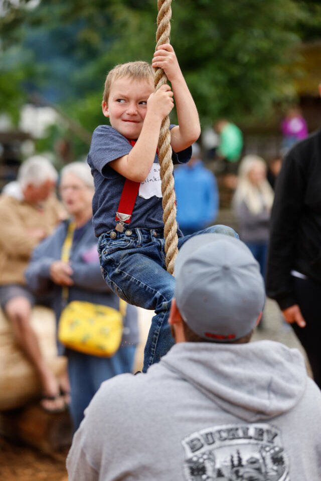 Liam Clinkingbeard, son of eight-time All-Around Logger winner Billy Clinkingbeard, competing in the rope climb. Photo by Ashley Britschgi.