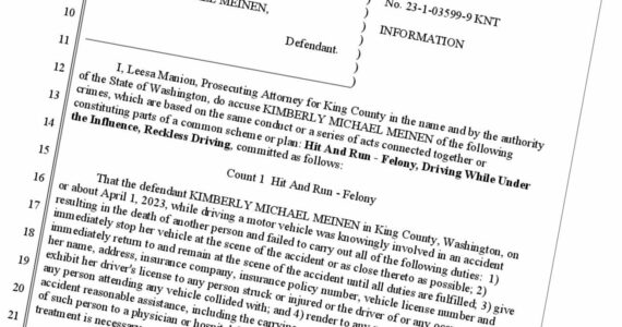 Charging documents for Kimberly Meinen. Screenshot