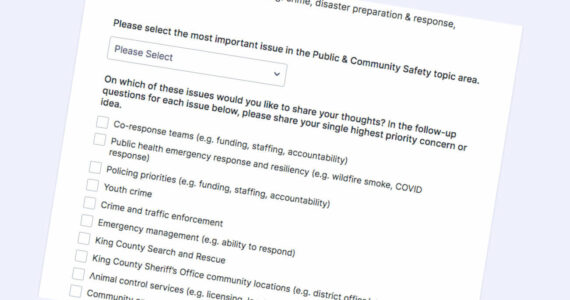 A King County Local Services survey asks about how the county can support public and community safety, amongst other topics. Screenshot