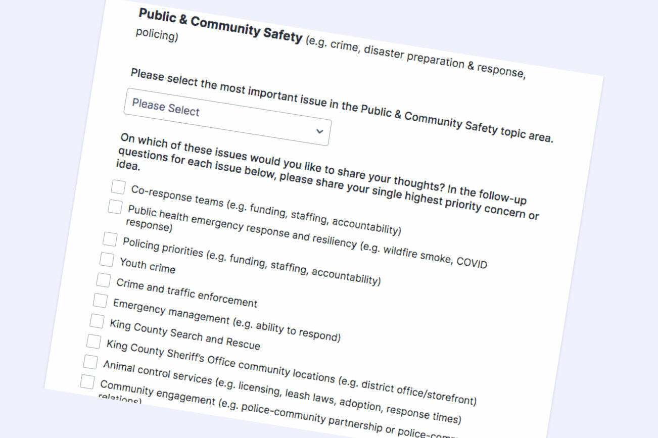 A King County Local Services survey asks about how the county can support public and community safety, amongst other topics. Screenshot