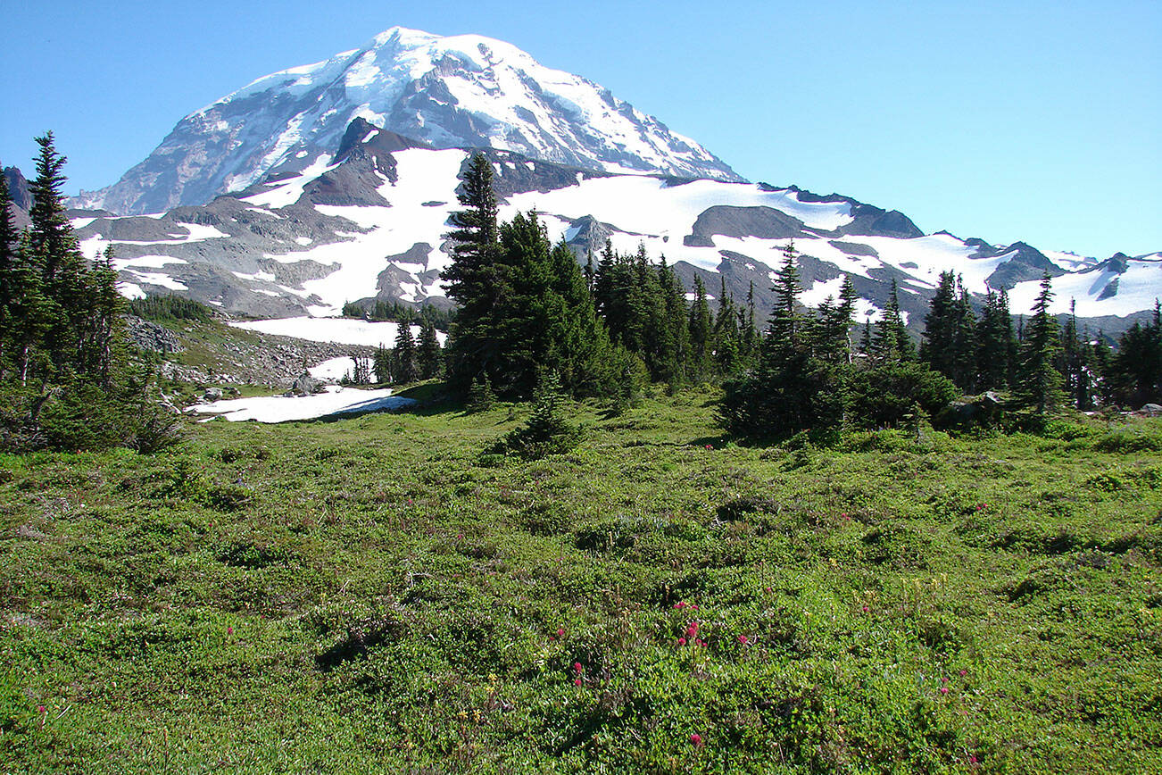 Mount Rainier announces burn ban Mount Rainier National Park